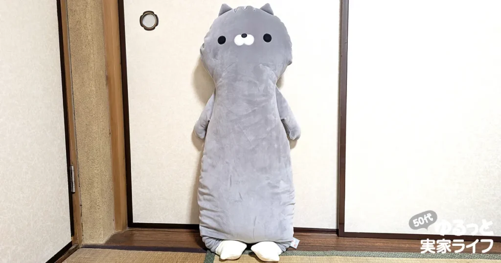 「はんぺん抱き枕」の阿部くんの写真